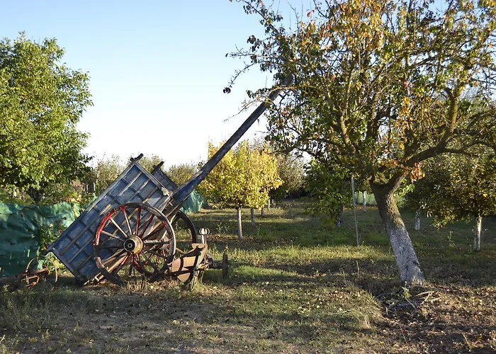 La Calceta Kır Evi *
